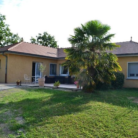 Chatillon-sur-Broue Alaguyauder Le Studio المظهر الخارجي الصورة