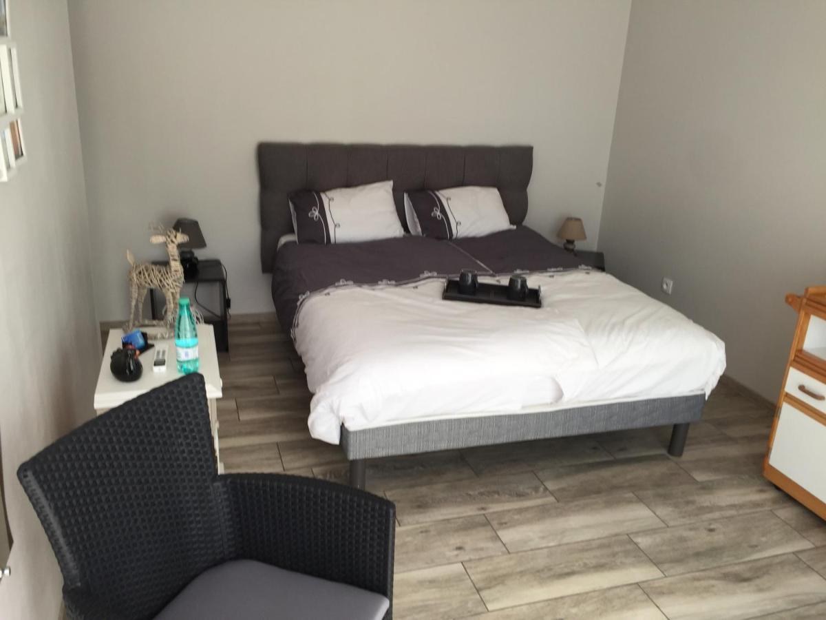 Chatillon-sur-Broue Alaguyauder Le Studio المظهر الخارجي الصورة